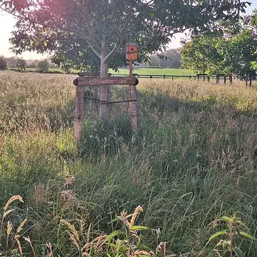 Ochtend op de boerderij, heel gewoon en rustig!#ochtend #matin #mañana #mattina #