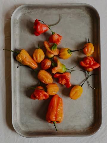 Nieuw dessert: Physalis van @aardigbio , Chilly’s van Emma & gekonfijte pompoen van GroenLof in de maak.

_____

New dessert: Physalis from @aardigbio, chilis from Emma, and candied pumpkin from GroenLof in the making.