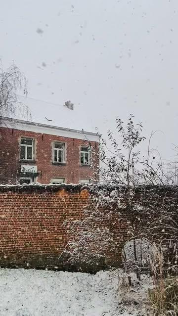 2026 begint in stijl. Prachtig wit.
Beste wensen voor dit nieuwe jaar. Tot heel binnenkort! ❄️☀️