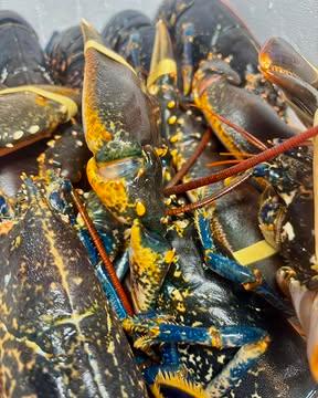Merci pour votre enthousiasme ❤️

👉 Ce vendredi soir est complet.

Il nous reste en revanche 2 dernières tables pour ce samedi soir, dernière occasion de découvrir notre Menu Homard avant qu’il ne quitte la carte.

Et pour ceux qui préfèrent, notre carte classique reste bien entendu disponible, avec nos créations de saison et les incontournables du Bagù.

 #Bistronomie #michelinguide #michelin #Gastronomie #thuin #gaultmillaubelgium