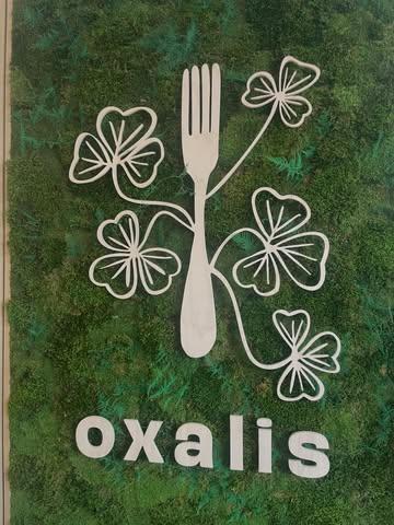 We got to enjoy a delicious meal by the students at @oxaliscuisinevg - the plant-based cooking school in Brussels. 

Delicious pumpkin & carrot soup with crispy polenta and filled mushrooms
Home-made ravioli with tofu filling & mushroom sauce
And wauw, a tiramisu to say hallelujah to! Especially the filling was so on point.

If you want to improve your cooking skills, you know where to be. Enroll in one of their trainings to get started.
