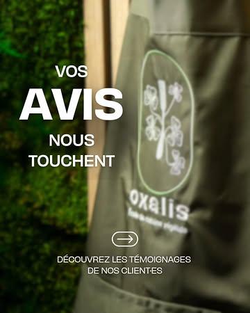 Des retours comme ceux-là, on ne s’en lasse pas 💚

Merci pour votre confiance, vos mots et votre énergie lors des ateliers et formations. Chaque message nous motive à aller plus loin, à affiner le projet et à continuer de faire grandir Oxalis avec vous.

Prêt·e à passer un moment avec nous ?
Réservez votre atelier, formation ou team buidling sur notre site [lien en bio]