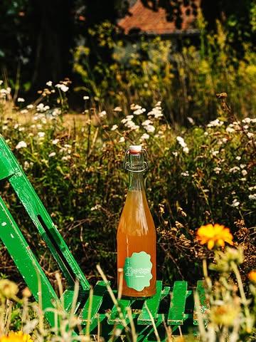 New new new new!

Allé of toch bijna 🫠
Één van de nieuwe smaken en even groen van ingrediënten als het label 🌿

De booch werd gebrouwen met groene jasmijn thee en lindebloesems. In een tweede fermentatie werd er wat frisse kruidigheid toegevoegd door middel van gekneusde venkelzaadjes. Alsook duindoornbes voor wat funky zuurtjes.

Zacht van smaak met aroma’s van venkel en jasmijn. In de nasmaak vinden we groene appel en besjes terug. 

Genieten zult ge, schol 🥂

📸 @burobonito.be