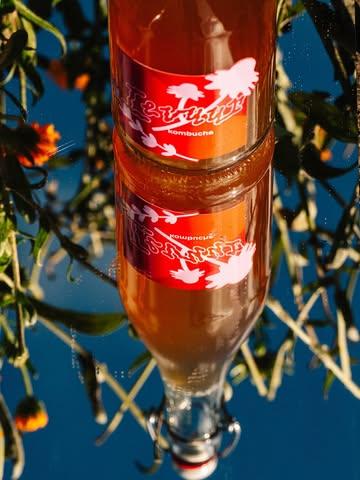 Beetje Kerst in een fles 🎄

Met zijn aroma’s van salie, eucaluptus, zoethout en hooi kan Wild Herbs die ambetante zatte nonkel eindelijk wat in bedwang houden. 

De kombucha werd gebrouwen met de Flower Power thee van @on_kruid.be waarin je een hele resem aan (on)kruiden kan terugvinden; salie, echte kamille, akkergoudsbloem, citroenmelisse etc. Alsook voegden we een beetje gentiaan toe voor een licht bittertje. 

Niet alleen goed als aperitief maar ook passend bij een vettig visje, winterse groenten (zoals bietjes, knolselder, raapjes) en uiteraard een pasta al burro e salvia 🇮🇹

Tot onder uw kerstboom x 

📸 @burobonito.be