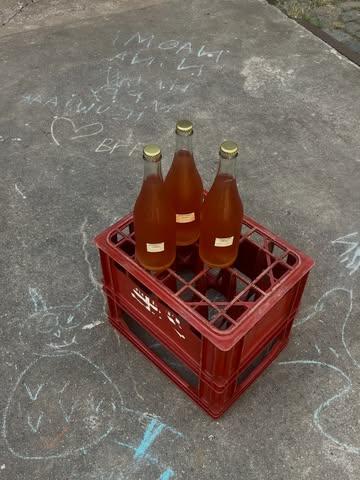 Het was al lang eens tijd voor een nieuwe zomersmaak nietwaar. Voor diegene die het nog niet zagen passeren:

Kombucha gebrouwen met 70% Zomba Green & 30% witte Thyolo BSPM van @satemwa_tea_coffee 

In de 2de fermentatie kan je een beetje engelwortel terugvinden, een korte infusie van hibiscus en verse ananassalie van de @kollebloem . 

Zachte exotische toetsen, een beetje salie en licht complex ⛱️

Momenteel nog met prachtige labels van afplaktape. Volgend jaar met iets creatievers. 

Foto’s door mijzelf, vloertekening door vermoedelijk kind uit de buurt ✌️ 

Een goeie zomer alvast x
