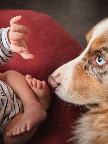 Mathis, notre nouveau sous-chef, est bien arrivé ce 7/01 chez Hors-Champs 🚼
On lui transmet encore deux ou trois petits secrets de la maison avant la réouverture, histoire qu’il soit parfaitement prêt à prendre la relève 🍼

📅 Réouverture le 30/01 - Les premiers services sont déjà complets (MERCI 🤍)
👉 Pensez à réserver rapidement votre table en février via notre site internet

❤️ Prochain évènement : Saint-Valentin – 14 février
Dîner aux chandelles dans la grange
Infos & réservations : lien en bio

À très vite autour de la table 🍷🍽️