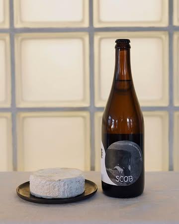 Créé par Céline et Guillaume, @scob.brewery élabore des pétillants sans alcool à partir de thés brassés. Pas d’ajout : des thés sourcés de provenances et de variétés différentes et des sucrants (miel ou sucres) adaptés.
À La Fruitière, nous aimons vous les proposer en accompagnement de vos plaisirs fromagers. Dry January devient alors une invitation à explorer, goûter et surprendre ses papilles, sans l’ivresse.
Tout au long du mois, nous partagerons nos accords favoris entre SCOB et fromages.

N°1 - Butter & Camembert : Cuvée à base d’un thé de Chine semi-oxydé : le Milky Oolong, qui développe naturellement des notes lactées. Retrouvez une des Madeleines de Proust de Véro : beurre et camembert. La boisson fond dans la bouche, le camembert soutient l’ensemble et c’est comme une tartine d’enfance. Appréciez les notes beurrées et noisettées de BUTTER, parfait pour un en-cas. Osez vous laisser surprendre par ce breuvage qui exprimera toute son originalité accompagné d’une fondue suisse, d’un plateau de fromages ou d’une terrible raclette party.

📷 : @maurine.toussaint