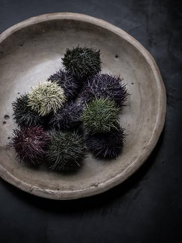 On the menu: the spiky delicacy of the sea. 

#seaurchin