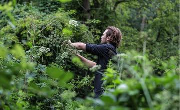 🌱 NEW MASTERCLASS FORAGING + LUNCH 🌱

Curious about what grows in our region, what's worth picking and what's best left alone? 
⁠
Chef @thomasgellynck will take you on a foraging walk.
⁠
Afterwards, we’ll head into the kitchen to show you three techniques, three ways to work with what you've gathered, followed by a three-course lunch. 
⁠
From outside to in, from ground to plate. It doesn't get any better than this.
⁠
Saturday 30 May // € 175 per person ⁠
10:00 - 11:00 :: foraging walk 
11:30 - 12:00 :: processing techniques 
12:00 - 13:30 :: lunch (3 courses with juices)
⁠
Are you in? 
www.commotiegent.be/masterclasses