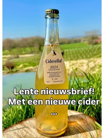 Nieuw seizoen, nieuwe nieuwsbrief.
Met:
🍎 - Ciderella! ‘24 vanaf nu verkrijgbaar. Een co-ferment van onze gerijpte AP ‘24 (appels & peren) met 6 soorten mirabellen en een beetje kwets.
🍇 - De eerste wintersnoei in de wijngaard.
💦 - Volle vijvers en kikkervisjes.
🏺- ‘Een korte geschiedenis van cider in de Lage Landen en Vlaamse Ardennen’ met dank aan @defoodarcheoloog 
🎥 - Christophe aan de klets in @sorry.mijn.kluute 

#belgischecider #belgischewijn #allnatural #agroecology #regeneratievelandbouw LINK IN BIO