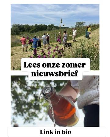☀️Lees onze zomer nieuwsbrief! 
Link in bio
🍒 rood fruit cider
🧺picknick in de fruitgaard
🍇nieuwe wijnstokken
🐑 schapenwol in de wijngaard
#belgischecider 
#belgischewijn 
#regeneratievelandbouw 
#korteketen 
#vlaamseardennen