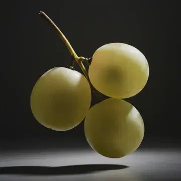 Vitis vinifera.

Early-harvest grapes for our spuh-man-tay.
Picked young, with a freshness sharp enough to cut through diamonds.

Chin chin 🥂

#nonalcoholic #foodies #foodporn #dryjanuary