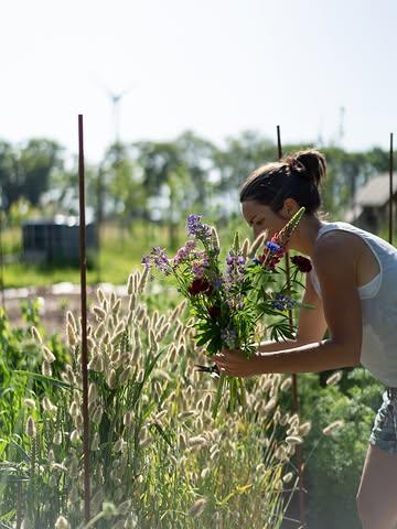 🌸 DE PLUKTUIN IS OPEN! 🌸
De openingstijden voor plukseizoen 2026:
🗓️ woensdag: 17:00 - 20:00 uur
🗓️ zondag: 09:00 - 12:00 uur
🌾 Omdat we met de natuur meebewegen, kunnen er soms wijzigingen zijn. Check de stories voor updates.
 
Meer dan bloemen alleen… Welkom om gewoon te komen ont-moeten, de inspirerende plek te ervaren, te lezen, muziek te maken, … Mijn zelfgemaakte bestuivende kombucha is ook te koop.🥂✨

💐 Bloemen nodig buiten de openingsuren? Past een ander moment je beter? Stuur me gerust een bericht of bel me om te vragen of je langs mag komen. Daarnaast kan ik ook bloemen voor je klaarknippen of op bestelling een kant-en-klaar boeket of feestbloemen voor je samenstellen.

Handig:
Breng een emmer of vaas mee om je bloemen in te vervoeren 🪣
Een schaar kun je van mij lenen ✂️
Betalen kan cash 👑 of via Payconiq/Bancontact of met een Stuif-kadobon of Diests Cadoosje
 
Tot snel in de tuin! 📍 Wolvenstraat 402 (op de grens met Assent, niet in het centrum van Diest)