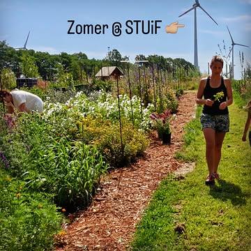 Zomer @ STUiF

De tuin is deze zomer open op woensdagavond van 17 tot 20 u en op zondagvoormiddag van 9 tot 12 u. Kom bloemen plukken, proef een huisgemaakte Stuif kombucha en geniet van al het moois dat groeit en bloeit. 

Enkele bijzondere momenten deze zomer vind je in de slides. Inschrijven kan via een bericht.

Heb je een idee voor een workshop of activiteit die past bij STUiF? Stuur me gerust een berichtje. Ik sta open voor nieuwe ideeën en fijne samenwerkingen.

Ik kijk ernaar uit om jullie deze zomer te ontvangen!

Gretige groetjes 👋🏼