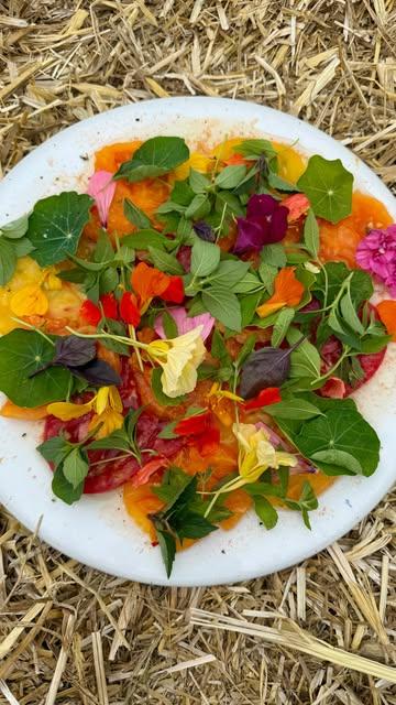 𝙁𝙧𝙤𝙢 𝙩𝙝𝙚 𝙚𝙖𝙧𝙩𝙝 𝙩𝙤 𝙩𝙝𝙚 𝙝𝙚𝙖𝙧𝙩… 

For more than six years, our kitchen has been blessed with the harvest of @de_blauwe_spie 
On their fields in the Westhoek, @mattiasplaetevoet and his devoted team do more than farm — they listen.

To the whispers of the soil,
to the rhythm of the seasons,
to the silent song of stars above. ✨

From their hands come vegetables that carry a story — of patience, of reverence, of love for the land.
And when they reach our table, they do more than nourish the body…
they awaken the soul.

We are proud to share their gifts with you, each dish a tribute to the harmony between farmer, nature, and plate.

.
.
.

#willemhiele 
#passionate
#worlds50best 
#michelin 
#finedining
#biodynamic