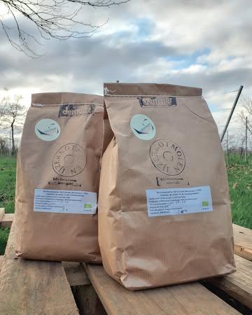 Ons speltmeel is het prachtige verhaal van lokaal vakmanschap. Een nauwe samenwerking tussen boer en molenaar in een korte, eerlijke keten. De weg van de korrel op het veld naar het meel in de zak, zonder omwegen. Met dank aan het vakmanschap van @ijzerkotmolen. 

🥖 Beschikbaar via onze webshop, de Koolmees en thuisverkoop op vrijdag.

Our spelt flour is a beautiful story of local craftsmanship. A close collaboration between farmer and miller in a short, fair supply chain. The journey from grain in the field to flour in the bag, without any detours. Thanks to the craftsmanship of @ijzerkotmolen.

🥖 Available through our webshop, Koolmees, and in-store sales on Fridays.

#biologisch #bio #organic #vegan #healthyfood #healthyfoodie #plantbased #farm #freshingredients #sustainablefarming #localfood #bioboer #duurzamelandbouw #farmtotable #korteketen #lokaal #rechtvanbijdeboer #chefspecial #duurzaam #ieper #oostende #brugge #kortrijk #nieuwpoort #knokke #gent