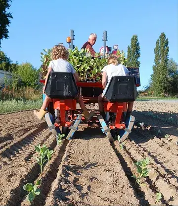 Met kleine handen en een groot hart zetten onze twee jongste kinderen vandaag verschillende kolen uit. 🌱

In alle rust, met liefde voor de aarde en respect voor het ritme van de natuur, geven we elk plantje een warme start. 

Zo groeien niet alleen onze groenten, maar ook de verbondenheid met het land waarop we mogen werken. 💚

#biodymamisch  #biofarm #kolen #korteketen