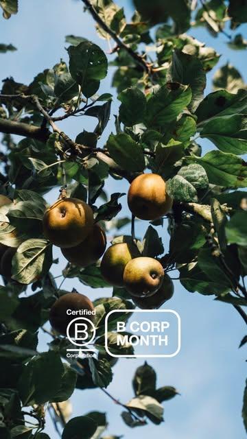 Cette semaine pour le #BCorpMonth , notre collègue Eve, Product Manager au Domaine, vous emmène dans notre verger où des arbres fruitiers à hautes tiges, cultivés avec soin, offrent les plus beaux fruits pour nos confitures et jus. Mais créer un produit artisanal et durable ne s’improvise pas — cela demande une démarche réfléchie et une collaboration étroite avec nos partenaires locaux.