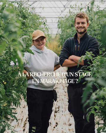 Nous sommes à la recherche de stagiaires en maraîchage pour cet été. En tant que stagiaires, vous participerez à la vie quotidienne de la ferme. Aux côtés d’Armand et Justine, vous découvrirez la culture d'une trentaine de variétés de légumes dans le respect du vivant, des sols et des rythmes naturels.
Intéressé·es ? Plus d’infos sur notre site : domainedegraux.com/jobs