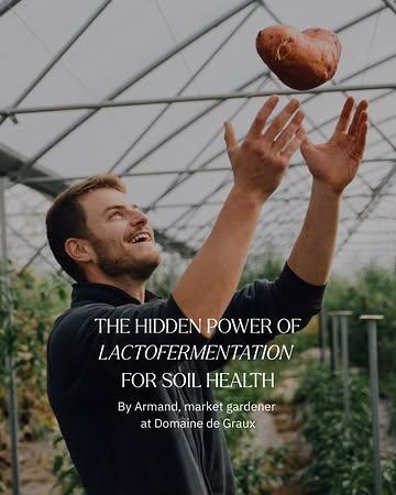 At Domaine de Graux, we’ve never believed regeneration is just about growing vegetables. It’s about growing our understanding of the living system underneath them, one training, one technique, one season at a time. That’s why Armand, our market gardener, recently followed a training with @terres.vivantes.trvi on two interesting techniques: lactofermentation and the pH redox approach.
Let’s dive a bit deeper into lactofermentation 🌱
#RegenAg #SoilHealthMatters #DomaineDeGraux #Agroecology