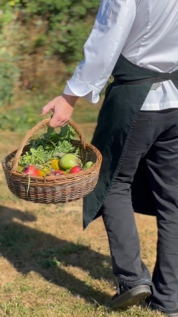 Chroniques d’une tomate, par @francois__durand 🍅 À découvrir ce soir à la carte de @pollen.pollen.pollen