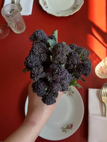 Spring @the farm 💜