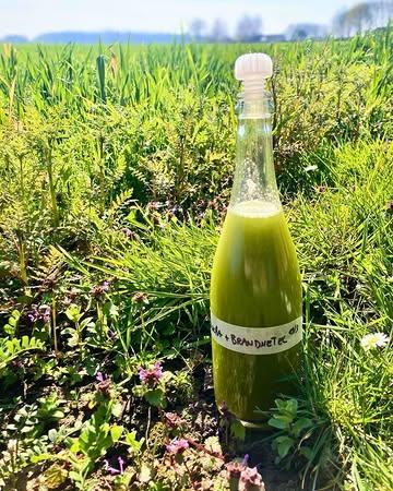 Bancha - nettle - elderflower ☘️🌼

#drinkpairings #botanicaldrinks #springinaglass