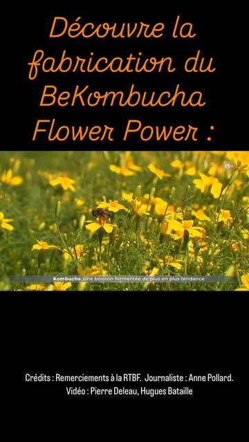 BeKombucha revisite le traditionnel kombucha au thé noir... Des ingrédients sélectionnés avec soin pour une saveur plus raffinée et encore plus de vertues : Thé vert Sencha (riche en anti-oxydant), Verveine & Mélisse (appaisante, relaxante), Ortie (reminéralisante).

Notre édition limitée Flower Power est aromatisé avec des fleurs comestibles que nous cultivons en bio spécialement pour notre boisson.  Une édition limitée ultra locale aux saveurs enivrantes d’agrûmes et de fruits de la passion, sans les fruits biensûr...

#kombucha #healthydrink #flowers #local #wallonie