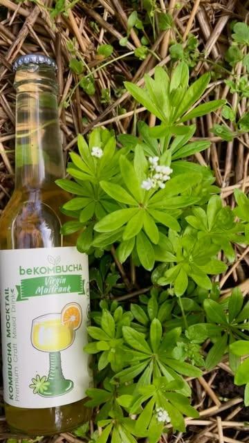 Hello,

Petit concours à l’occasion de la sortie du nouveau Mocktail Virgin Maitrank, 6 bouteilles à gagner.
Bonne chance à tous.
Bonnes vacances !
#kombucha #healthydrink #mocktail #madeinbelgium🇧🇪