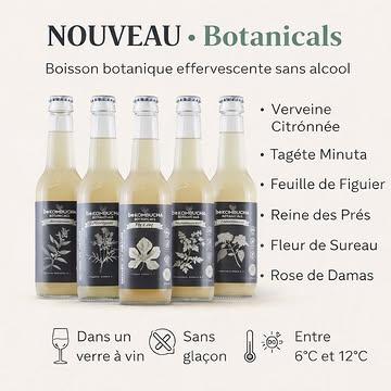 🌿✨ NOUVEAU — Botanicals by BeKombucha ✨🌿
Une nouvelle boisson botanique effervescente sans alcool pensée comme une expérience gourmet.

Avec Botanicals, je vous propose une alternative élégante qui se démarque de nos kombuchas :
des infusions végétales subtiles et originales, à base de Plantes Aromatiques & Médicinales sélectionnées pour leurs saveurs envoûtantes.

🥂 À déguster en apéritif et à accorder avec les mets les plus délicats.
👉 Service parfait : dans un verre à vin, sans glaçon, entre 6°C et 12°C pour sublimer l’acidité et les arômes botaniques.

🍃 La gamme : Verveine Citronnée • Tagète Minuta • Feuille de Figuier • Reine des Prés • Fleur de Sureau • Rose de Damas

💬 Dis-moi en commentaire : tu commences par laquelle ?

#BeKombucha #Botanicals #BoissonSansAlcool #BoissonArtisanale #ApéritifSansAlcool #Mocktail #FoodPairing #Gastronomie #BoissonFermentée #Botanique #Belgique #CraftBeverage #SansAlcool #Bio