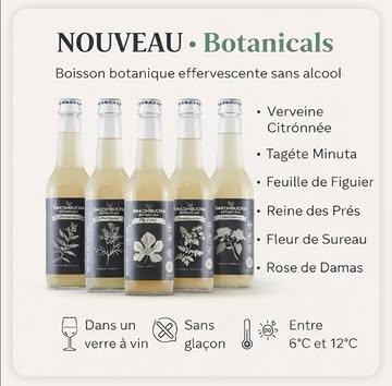 Le sans alcool ne doit plus être une punition.

Aujourd’hui, une vraie alternative gastronomique arrive chez Rouge Passion: botanicals. 

Pas un soda.
Pas un jus.
Pas une limonade.

Une boisson botanique effervescente,
complexe,
précise,
pensée comme un vin.

Botanicals est élaborée à partir d’infusions végétales subtiles et originales, des Plantes Aromatiques et Médicinales soigneusement sélectionnées pour leurs saveurs envoutantes: 

🌿 Verveine citronnée
🌸 Fleur de sureau
🌹 Rose de Damas
🍃 Feuille de figuier
🌱 Tagéte Minuta
🌼 Reine des Prés

À servir dans un verre à vin.
Entre 6 et 12°C.
Sans glaçon.
Pour sublimer l'acidité et les arômes botaniques.

Pour :
– les clients qui conduisent
– les femmes enceintes
– ceux qui font une pause
– ou simplement ceux qui veulent autre chose

Les chefs adorent.
Les sommeliers sont surpris.
Les clients remercient.

C’est disponible dès maintenant.

Tu veux goûter ?
Envoie-moi un message ✍️ 

#DrinkDifferent
@bekombucha