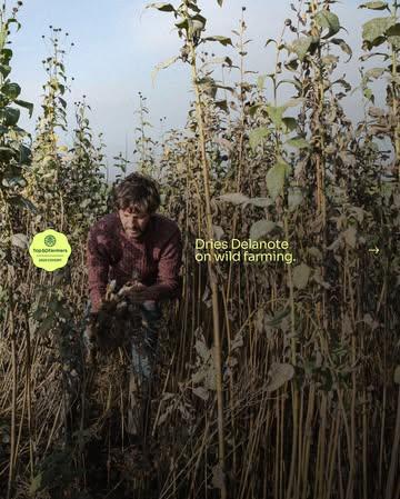 You wouldn’t expect to find a jungle in the middle of Flanders, but that’s exactly what it feels like walking into Le Monde des Mille Couleurs. 

Across 17 hectares, Dries Delanote and his team have pioneered wild farming, permaculture and foodforestry, an approach that trusts the deep wisdom of the natural world. 
 
Here, it’s hard to tell where one crop ends and another begins. Everything overlaps in a green tapestry forming a world of a thousand colors where each microseason offers a bounty of wonders. 

Every harvest is a reminder: when we give life to the land, the land gives back a thousandfold, in colors, in tastes, and in inspiration for a more regenerative future.

For chefs, this generosity translates into something truly unique: unexpected flavors, textures, and edible flowers that simply can’t be found in conventional supply chains. Instead of uniform ingredients, they receive living expressions of plants at different stages, each unlocking new culinary possibilities.

🔗 Follow the link in @top50farmers bio for the full story of how Le Monde des Mille Couleurs connects chefs to the bounty of nature through wild farming. 

#t50f2025 #T50F #top50farmers #regenag #regenerativeagriculture #regenerativefarming #mondedesmillecouleurs #ceciestpassata #foodforestry #wildfarming #permaculture #soilmates #soilhealth #knowyourfarmerknowyourfood #landstewardship #futureoffarming