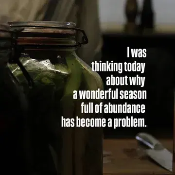 How much cabbage can we ferment together?

In times of abundance, 
👉 ferment
and eat from it throughout the whole year.
💚💚ZuurkoolFest 

🙌Let’s do it together.
Let’s do it beautifully.
Saturday, 24.01.2026 | 
10:00–14:00
La Monde des Mille Couleurs
Zweerdstraat 6, 8900 Ieper

Price: €20

Please bring:
– 5-liter jars (or larger)
– a knife or mandoline
– a cutting board
- a smile 

🙌♥️Let’s do this together — 
let’s not let the harvest go to waste.
Included:
– cabbage
– stories
– drinks
- zuurkool guide 
– a shared meal after the work

Coming? Let us know 
Ascomplimentsofnature@gmail.com 

With LotsOfLove 
Aleksandra 
@mondedesmillecouleurs