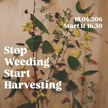 🌱Stop Weeding, Start Harvesting

With bigest pleasure we would  like to invite you on a journey into the wild gardens of 
Le Monde des Mille Couleurs
where together we will dive closer to
 the story of wild plants.
Together look at these 
casual weeds in a  different way.
🌱Plants that usually seem to get in the way between flowers and garden beds — the ones we try to remove at all costs —
 are in fact some of 
nature’s most beautiful gifts. 

They are the colors of life that one
 straight from nature,
full of wonderful flavors, 
fascinating stories, and true richness.

🌱11:00 – Dries will take you on an tour in to wild gardens , share stories about magic around. 

🌱13:00 – Tasting of wild bread , fermented wild herbs, pestos.
And suprice 😉

🌱13:30 – “You Can’t Weed It? Eat It!” 
Workshop
How to ferment wild plants
How to make fermented pesto
How to feel confident in a kitchen full of wild herbs

🌱15:30 – A shared meal with snacks we prepare together.

You will go home with jars of fermentation and pesto, and a head full of inspiration.

18.04.2026
Start 11u-16.30u ( +/-😅)
Price  65e pp
Reservations via ascomplimentsofnature@gmail.com 

Bring smile,  curiosity and apron 

See you soon.
LotsOfLove 
Aleksandra & Dries 🌿