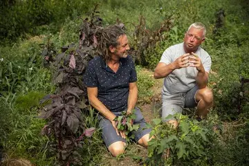 It starts in the soil.

At @de_blauwe_spie & @mondedesmillecouleurs vegetables are grown with patience and respect for natural rhythms. 

No shortcuts. Just time and living soil.
This is where ceci est passata begins.

To celebrate this connection, we release 50 special packs.
In one of them, a golden bottle is hidden.
Find it — and win a dinner for two at @restaurant_willemhiele (€470).

✨ 1 chance in 50
→ Order via link in bio

📷 1-3: @ellenvandenbouwhuysen
4: @liesengelenphotography