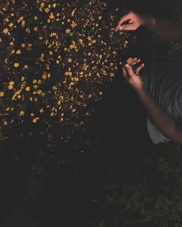EARTH DAY, NEW WEBSITE & VISUAL POETRY 🌞There is no earth like this, so this must be the earth. Gloire à la terre. Elle est le champ, l’amour, le sourire et le fleuve du monde, des mille couleurs. @mondedesmillecouleurs #permaculture #foodforestry #wildfarming #artwork #webdesign 🌞