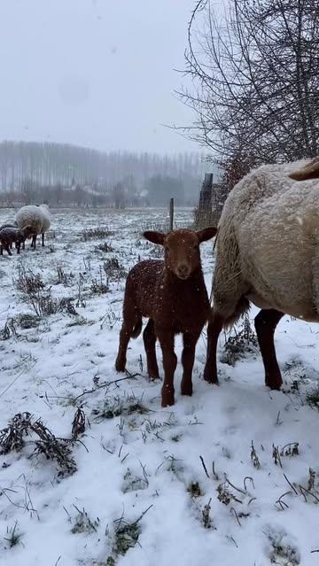 We wensen iedereen een jaar vol gezondheid, vrijheid en blijheid, met een warme en liefdevolle start 🥰 
Nodig jezelf of jouw favoriete gezelschap eens uit om Haspengouw te ontdekken: groen en rustig, met een overheerlijk terroir, vruchtbaar & gastvrij!

Tot snel 😉