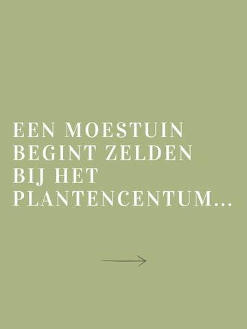 Een moestuin begint niet bij het plantencentrum.
Ze begint met een idee. Met het verlangen om zelf te telen en te weten waar je voeding vandaan komt.

Maar wie ooit een tuin had, weet: zonder plan wordt het al snel improviseren.

In deze cursus leer je hoe je je tuin opbouwt volgens een doordacht jaarritme: met continue oogst, een bodem die gevoed wordt en voedt en manieren om overvloed te bewaren voor later.

Mogelijks nog belangrijker: hoe werken met de aarde ook de geest tot vertraging kan brengen in een wereld die steeds sneller gaat. 

Meer info en reserveringen via onze link in bio 🛎️