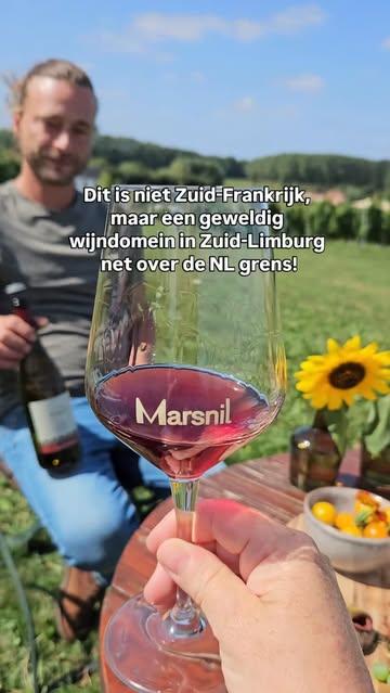 Met zonnig weer in aantocht is dit het perfecte uitje voor wijnliefhebbers! Op 2,5 uur rijden vanaf Utrecht of Rotterdam vind je @domein_marsnil. 

Sla op voor je to-go list deze zomer 🙌

Een prachtige wijngaard, restaurant en B&B gerund door twee broers en hun moeder. Heerlijke wijnen zoals Riesling, Gewürztraminer, Pinot Noir en meer, lokale producten en een fijne, dromerige omgeving. 

Je hoeft dus zéker niet helemaal naar Zuid-Frankrijk te rijden, ook dicht bij huis vind je de mooiste wijndomeinen 🍷👌

#wijngaard #zuidlimburg #wijntjeerbij #wijnroutes