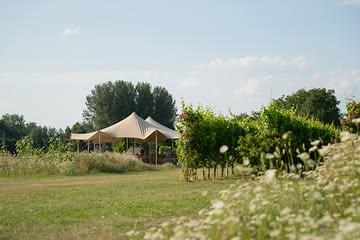 Onze zomerhit blijft scoren en heeft nog enkele vrije plaatsen voor ons wijngaarddiner op donderdagavond!

Geniet van een heerlijke avond tussen de wijnranken, met een smaakvol diner en de unieke sfeer van de zomer op het wijndomein.

📅 Reserveer snel jouw plekje 😉

Wij kijken ernaar uit om jullie te verwelkomen! 🍷