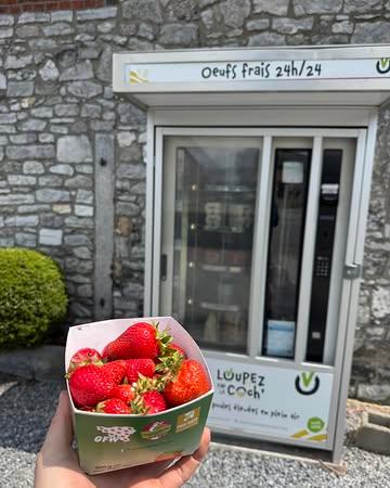 ⚠️ Nous sommes dans les derniers jours pour les fraises 🍓 

Profites en , elles sont disponibles dans nos 2 distributeurs : 

📍 Ragnies , rue de la roquette 23
📍 Gozée , rue Armand Bury 68 

Loupez pas le coch’ ✅