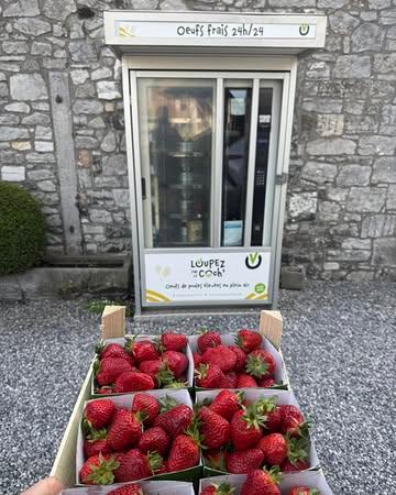 Les dernières fraises de l’année 🥹

Merci à tous pour votre fidélité et vos retours sur les fraises 🤝

J’espère qu’elle vous auront autant plus à vous qu’à moi 🫶 🍓 

Merci à la ferme de la Vaucelle 👌