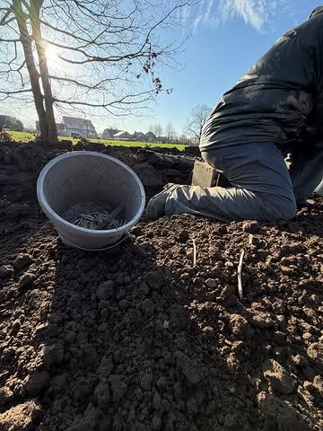 Vollegrond is geen trend ofzo. Dat is gewoon hoe wij het doen.

Trager, ja. Meer werk, ook ja.

Maar als ge ’t mij vraagt: zo smaakt het ook gewoon beter.