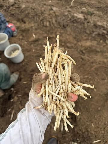 Premium klinkt chic. Maar in ’t echt betekent dat vooral: tijd pakken en zorg dragen.

Ni forceren. Ni rap rap.