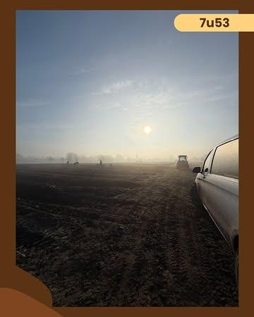 Waarom wij zo vroeg starten?
Niet omdat het moet… maar omdat het verschil maakt.

In de ochtend is het frisser, waardoor onze hopscheuten minder snel uitdrogen en hun kwaliteit behouden.
En in de namiddag? Dan wassen we ze elk uur opnieuw.

Alles voor één ding:
Jij krijgt altijd de beste kwaliteit.