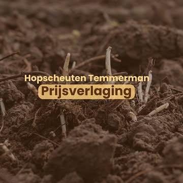 Hopscheuten, puur en vers van het veld - nu aan een lagere prijs.

Kort seizoen, fijne smaak.
Nu het perfecte moment om te bestellen en te proeven van deze unieke delicatesse.

Bestellen kan via onze site: https://www.hopscheutentemmerman.be/bestel-online-restaurants/