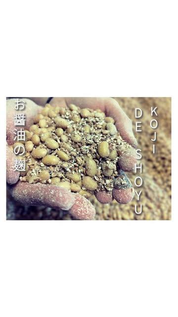 En préparation de kōji pour la sauce soja. Tout l'atelier est rempli du doux parfum du soja et de l'arôme grillé du blé. Le kōji pour la sauce soja a tendance à chauffer plus rapidement que le kōji de riz, demandant ainsi un peu plus de soin et d'attention.
Grâce à des ingrédients minutieusement sélectionnés, le kōji, préparé avec amour, se développe lentement dans des fûts en bois, où de nombreuses enzymes rencontrent les levures de l'air, donnant naissance à une sauce soja unique et raffinée.

Patientez un peu (au moins 1 an😌), pour ouvrir votre palais à un umami comme vous n'en avez jamais connu😋

----------------------
Currently preparing the kōji for soy sauce. The entire workshop is filled with the gentle aroma of soybeans and the roasted scent of wheat. The kōji for soy sauce tends to heat up more quickly than rice kōji, requiring a bit more care and attention.

Thanks to carefully selected ingredients, the kōji, lovingly prepared, will slowly develop in wooden barrels, where numerous enzymes will meet the natural yeasts in the air, giving birth to a unique and refined soy sauce.

Please be patient for (at least a year😌) to open your palate to an umami like you’ve never experienced before😋