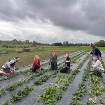 ✨2025✨
Vol dankbaarheid voor dit mooie jaar
♥️ Voor alle lieve mooie mensen die mee hielpen op het veld. De fijne momenten, muziek en gebakjes (merci Arnaud!), de goeie drive, de babbels. Het was zo leuk werken met jullie! Merci Kato, Arnaud, Joke, Lies, Lore, Elise, Jan, Joseph, en de anderen die af en toe kwamen. En de vrolijke stagiaires Mjette en Janne!

♥️ Voor alle mensen die kwamen genieten van onze bloemen, tomaten, bessen en aardbeien. Dankjewel om te komen plukken! Jullie waren talrijk en maakten mee een fantastisch eerste jaar voor Aardig.

♥️ Voor de samenwerking met de allerfijnste floristen die kiezen voor onze bloemen, lokaal, biologisch en met veel liefde geteeld.

🙏🙏

Een heel fijn eindejaar aan allen en een gezond, vredevol en vrolijk 2026! 🌲🔥🎁😄