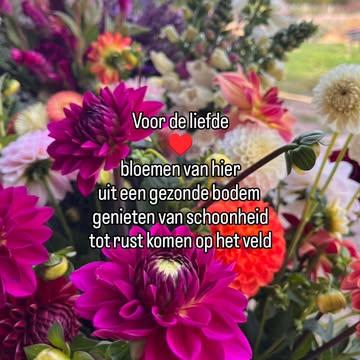 Een liefdescadeau waar je de natuur mee eert.
Laat je geliefde al plukkend van de liefde genieten, van jou en van de natuur.

Plukken kan vanaf moederdag 10/05 tot eind oktober. 
Verse bloemen op het ritme van de natuur.
♥️

Cadeaubonnen te bestellen via onze webshop.
www.aardig.bio/winkel/
Of link in bio