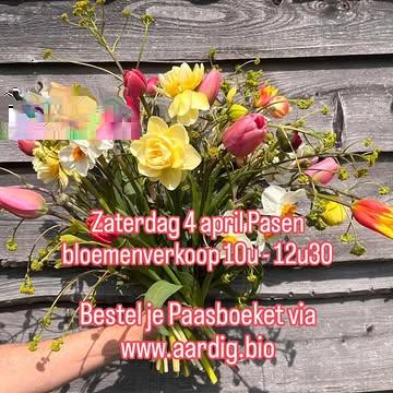 We doen nog een lentebloemenverkoop voor Pasen. Met een uitgebreid aanbod van tulpen, ranonkels en narcissen. ❤️🌷🌸🌷♥️

Wil je graag meteen een klaargemaakt Paasboeket meepakken? 🐣🐣🐣
Dat kan je bestellen via de webshop.
Www.aardig.bio/winkel/ of link in bio